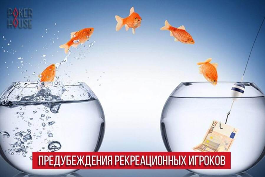 54278062_363124234291189_1406060383042535424_n-947x
